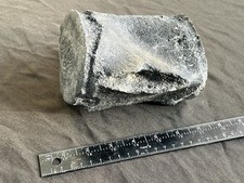 Decent 6” Fossil Whale