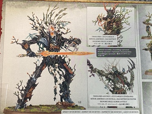 Tree lord ancient new - ancient, on