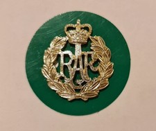 Recent Issue Royal Air Force RAF Apprentices Cap Badge and Coloured Backing Disc