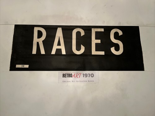 Races horse greyhound - races,