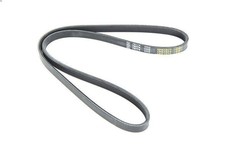 V-ribbed Belt DT SPARE PARTS