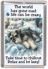 Miniature schnauzer dog fridge - dog,