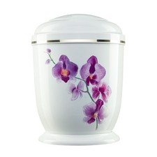 Urns for Ashes Adult Large