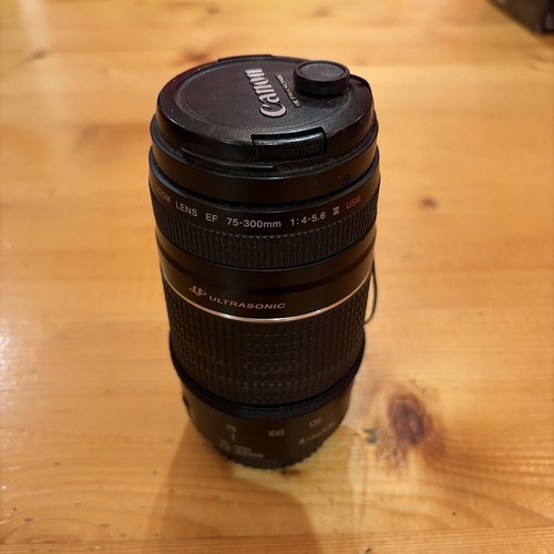 Canon 300mm 5 - ef, f/4-5.6