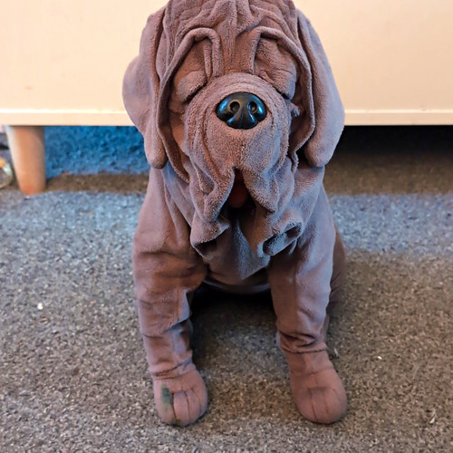 Hagrid loyal boarhound fang - hagrid's, boarhound,