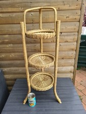 FAB VINTAGE CANE BAMBOO PLANT