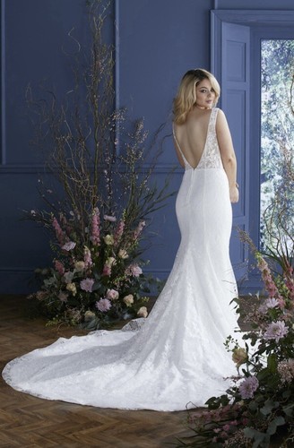 Ivory charlotte bridal - charlotte,