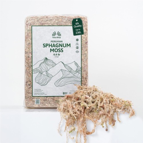 Peruvian sphagnum moss - sphagnum,