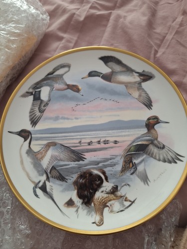 Coalport phails sporting - , mc