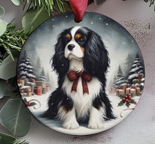 Cavalier King Charles Spaniel