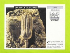 Fiche Edito service S.A. -