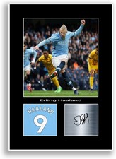 Erling Haaland Football Player