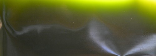 Live marine phytoplankton - live, 6