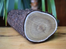 Staghorn Sumac Woodturning