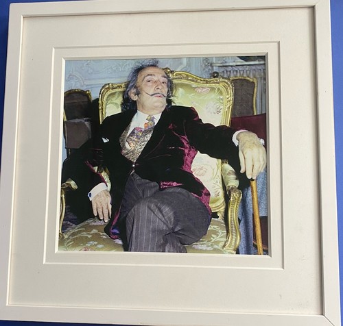 Salvador dali framed - salvador,