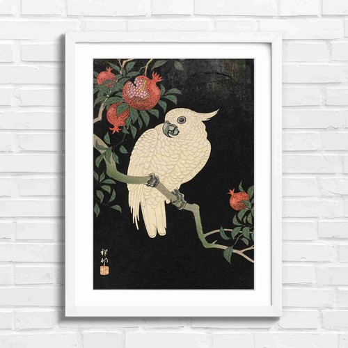 White cockatoo with - white,