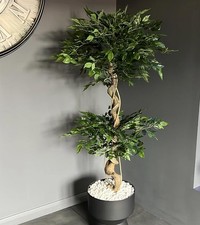 Artificial Ficus Tree
