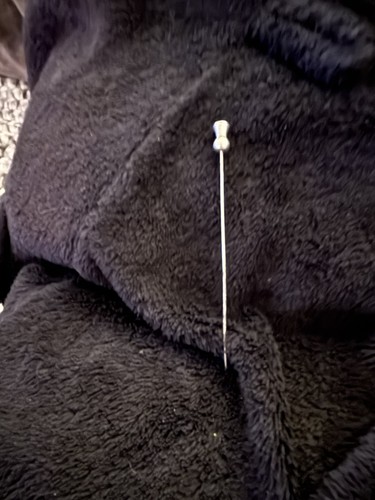 Silver thistle hat - pin,