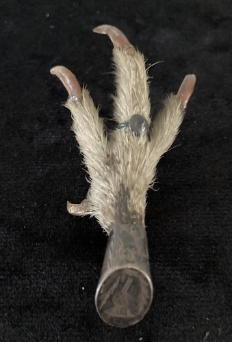Vintage scottish grouse bird - vintage,