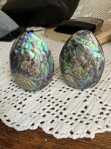 Vintage new zealand paua - zealand, shell
