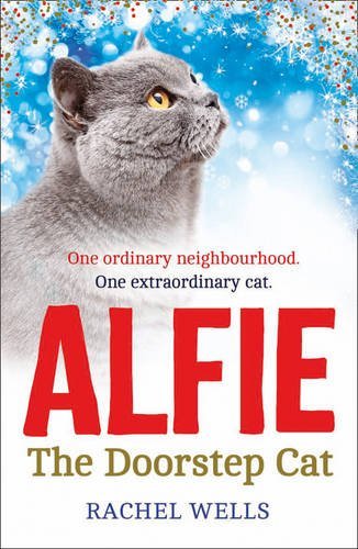 Alfie the doorstep cat rachel - alfie, cat,rachel