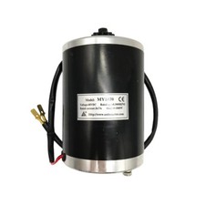 Dynamo 48 Volt 1000 Watt Drive