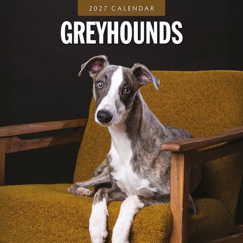 Greyhounds 2027 square wall - square,