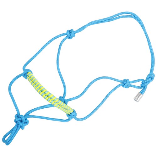 Halter for horse - horse, rope