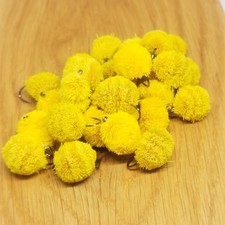 6 x CARP- MULLET -TROUT DOG