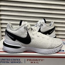 New Nike Zoom Lebron NXXT Gen