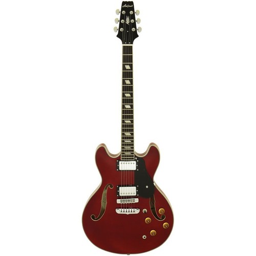 Electric guitar aria - aria, ta