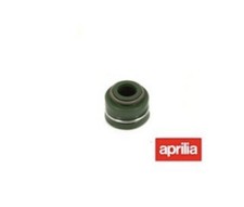 Aprilia Rs 125 Power Valve