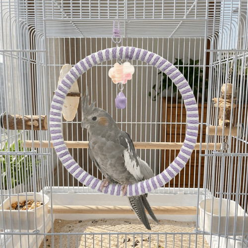 Wear resisting parrot - wear-resisting,
