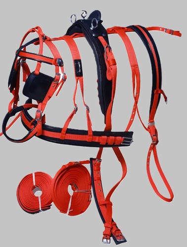 Nylon webbing driving harness - nylon,