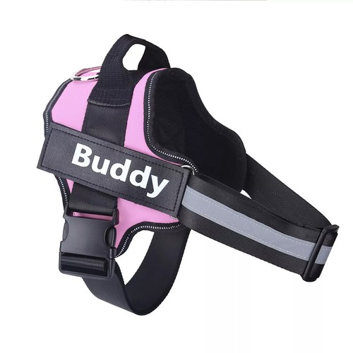 Personalized dog harness - harness, no