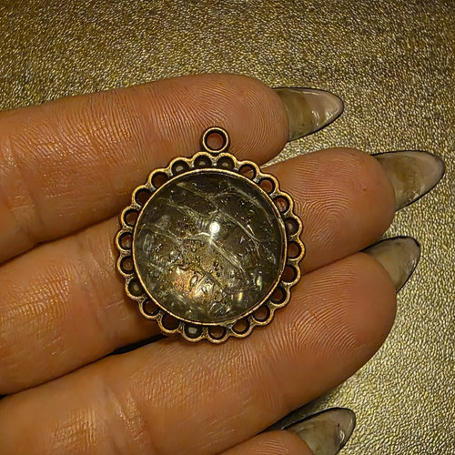 Authentic stunning real snake - authentic,