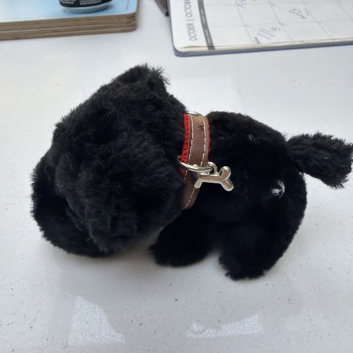 The dog artlist collection - the,