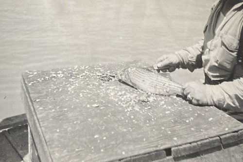1950s man boat - 1950s, filleting