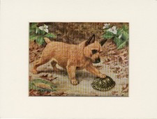 NORWICH TERRIER OLD 1958 DOG