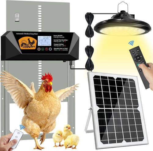 Extra large automatic chicken - automatic,