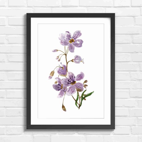 Delicate purple wildflowers - delicate,