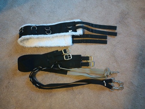 Horse training equipment - training, equipment~