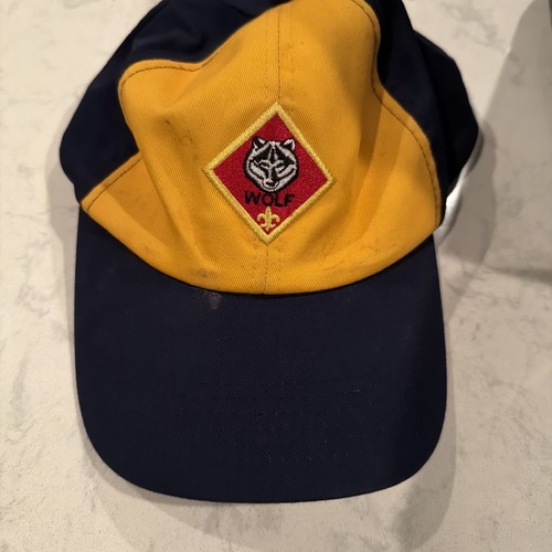 Boy scouts cub scout master - boy,