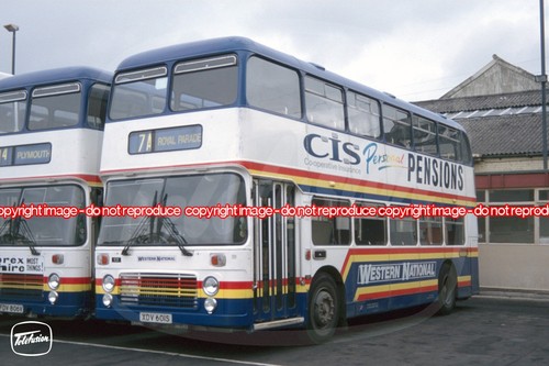 Bus photo western national - western,