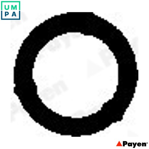 Gasket cylinder head - cylinder, cover