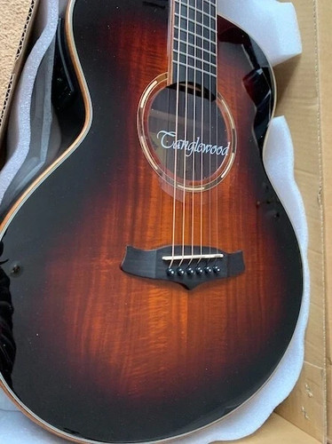 Tanglewood twx1ek travel size - travel,