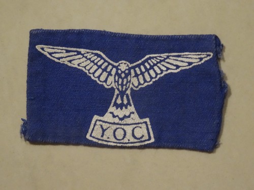 The young ornithologists - y.o.c,