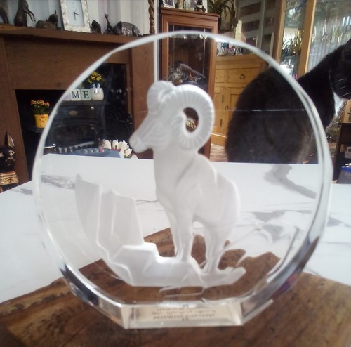 Glass paperweight the danbury - glass,