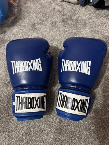 Muay thai boxing - boxing, gloves