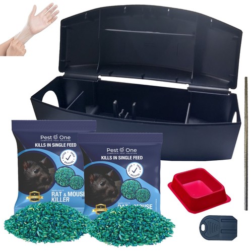 Professional rodent rat box - rat,